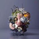 卓帅的头像-又一个 Wordpress 网站